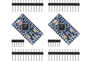 DUBEUYEW Pro Mini Carte de Développement 5V/16 MHz Compatible avec Arduino (2 pièces)