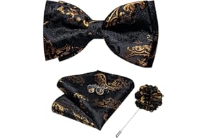 DiBanGu Silk Paisley Bow Tie for Men with Pocket Square Lapel Pin Cufflinks Pre-tied Bowtie Set for Wedding Party Prom