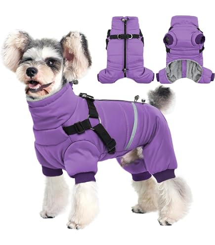 Winter-Hundemantel Wasserdicht – Ganzkörper-Jacke Für Kleine Hunde Mit Fleecefutter, Winddicht & Warm