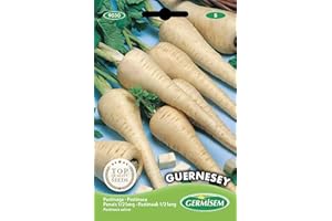 Germisem graines Panais 1/2 long GUERNESEY