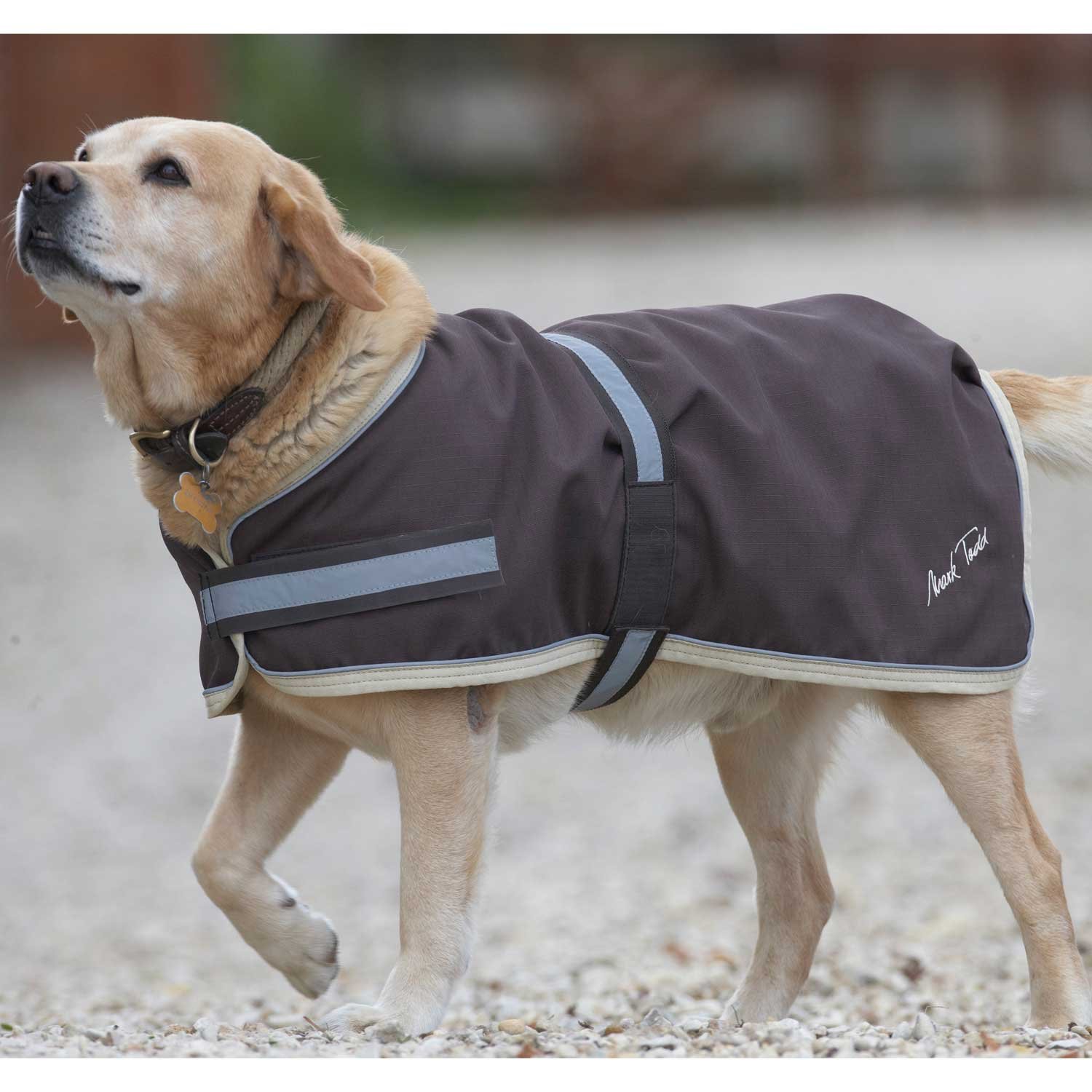 Dog Rugs Waterproof Bryont Rugs and Livings