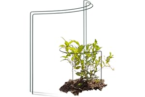 Novatool Lot de 2 tuteurs d'arbustes - Semi-circulaire vert - 35 x 40 cm - Pour plantes grimpantes