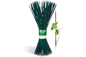 Novatool 100 varillas de 50 cm x 5 mm I verde I Varillas para plantas de bambú para plantas