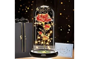 BIESVOY Rosa Eterna in Vetro con LED Luce,Rosa Bella e la Bestia Lampada,Rosa Eterna di Cristallo con Luci LED in Cupola di Vetro per Donna, Mamma, Fidanzata, Amica, Compleanno, San Valentino