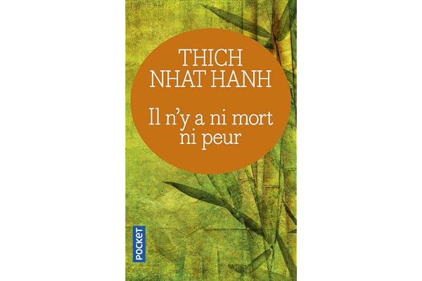 Il n'y a ni mort ni peur: Une sagesse réconfortante pour la vie