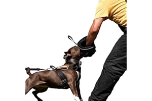 DINGO GEAR WWW.DINGOGEAR.COM 1977 Dingo Gear Mini Manchette de Morsure en Nylcot Souple avec Poignée et Prise, Protection de Morsure pour IGP, K9, Sports Canins, Chiots, Formation de Jeunes Chiens, Noir, Niveau 1 - Débutant (S01961)