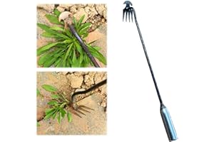 YELLSONG 2023 Nouvel Outil désherbeur pour jardin Désherbeur 37/50cm en Acier Inoxydable Jardinage De Désherbeur À Main, extracteur pour Creuser, Sarcler, Détacher Rateau (C, 50cm)