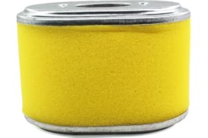 HURI Filtre à air pour souffleuse à neige Holzinger HSF-65 (LE) Einhell BSF 40