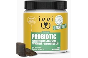 ivvi - Probiotic - Complément Alimentaire pour Chien, Bien -Etre Digestif - Probiotiques, Citrouille, Avoine, Graines de Lin et de Courge - 60 Délicieuses Friandises Végétariennes, 270g
