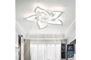 YCWDCZ Ventilateur Silencieux Plafond avec Télécommande Moderne Fleur Lustre Ventilateur de Plafond Led Mode Eté Hiver 6 Vitesses avec Minuteur Smart Plafonnier Ventilateur Design Dc pour Chambre, Chrome