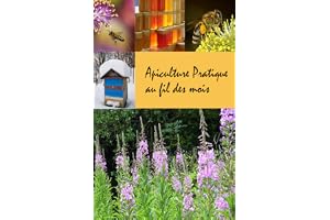 Apiculture Pratique au Fil des Mois