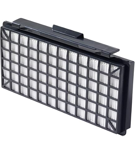 FILTRO DE MOTOR Para Bosch Free'e Pro Parquet 2200W BSGL52233/01 EUR 6