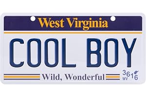 USA statsskylt med namn Namnskylt i aluminium Väggskylt, tavla, dörrskylt. USA-registreringsskylt Sugkoppsskylt (COOL BOY)