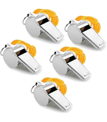 KEWUZY Fluitje, roestvrijstalen sportfluitje, 2 stuks, professioneel, scheidsrechtersfluitje, set met sleutelkoord voor schoolsport, voetbalscheidsrechter, hondentraining, lichamelijke opvoeding