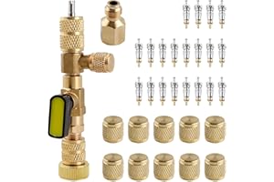 GOLD DEER Valve Core Remover Installer Tool with Dual Size SAE 1/4 & 5/16 Port Valve Core Removal Tool Schrader Valve Removal Tool Hvac Tools,20 PCS Valve Cores and 10 PCS Brass Nuts