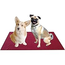 EASTLION Washable Dog Mat,Non-Slip Reusable Puppy Pads For Dogs,Super Absorbent Waterproof Dog Mat Pee Pads For Dogs For Indoor Outdoor Car Travel For Dogs,Cats(59x35.4 Inch 1 PCS) XL-Beige - Online Marketplace