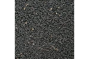 rohstoffpost Raps 5 kg Rapssaat Rapssamen für Wärmekissen Rapskissen Wärmetherapie, Schwarz