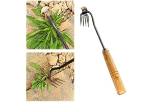 Eteslot unkrautstecher, unkrautentferner mit stiel, löwenzahnstecher, distelstecher, Garden Harke - Traditionelles Gartenrechen Unkrautjäter