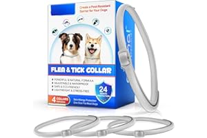 GÉNÉRIQUE Collier Anti-puces pour Chiens, Collier Anti-puces et Anti-tiques pour Chats, Ajustable, adapté à Toutes Les Races, 8 Mois de Protection, imperméable à Long Terme, traite Les puces.