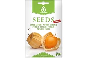 Physalis, Graines prêt à Pousser Minigarden, 100% Naturelles sans Propagateurs Chimiques ni Génie Génétique, inclut entre 150 et 180 graines