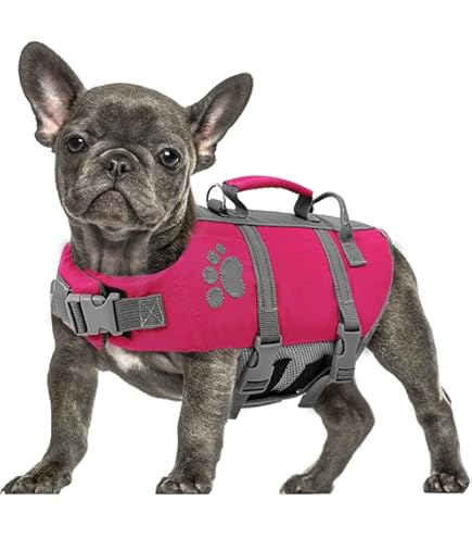 Giubbotto Galleggiante Per Cani Ruffwear Float Coat - Taglia Medium, Arancione - Foto 6