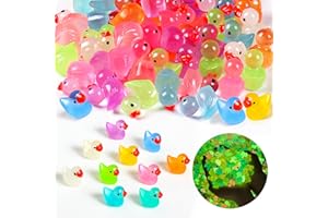 TAIXING 100 Pcs Canard en Plastique, 10 Couleurs Mini Canard en Plastique 100, Petit Canard a Cacher en Résine pour Bricolage, Maisons de Poupées, Paysage de Jardin et Aquariums, Brille dans Le Noir