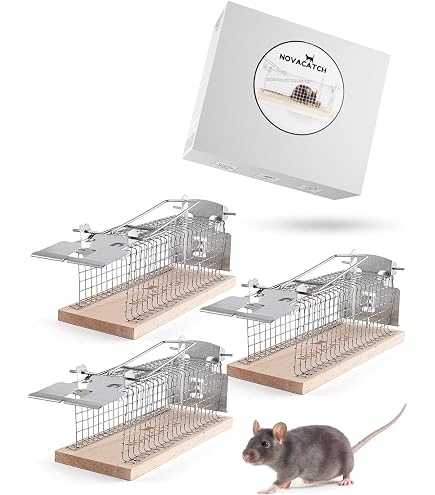 EGD Lebendfalle Für Mäuse & Kleine Nagetiere – Mausefalle Aus Metall, 24x11,5x11,5 Cm, Human & Wiederverwendbar