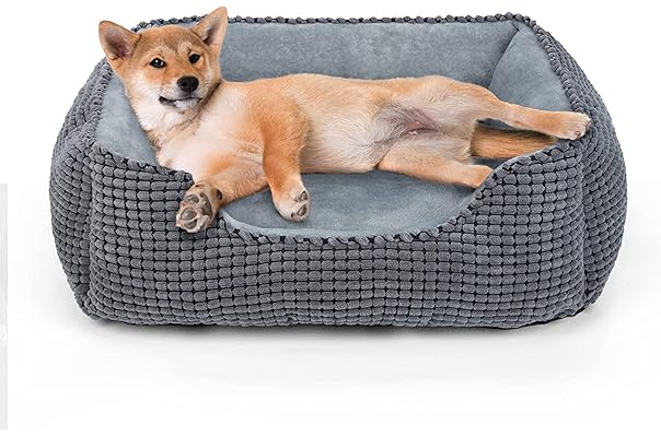 hypoallergenic dog beds amazon