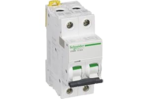 Schneider Electric A9F75232 Interruptor Automático Magnetotérmico Ic60N, 2P, 32A, Curva D