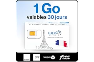 Wave Connect SIM Données France 4 Réseaux, Bouygues, Free, Orange, SFR, 4G, 5G, Prépayée, Active dès La Première Utilisation, UE, IoT, Sécurité (1 Go 30 Jours)