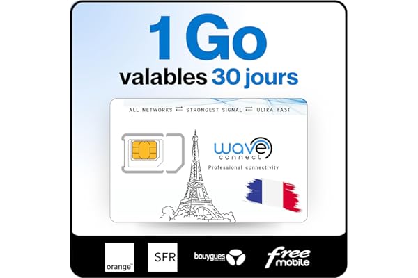 Wave Connect SIM Données France 4 Réseaux, 1 Go Valables 30 Jours, Bouygues, Free, Orange, SFR, 4G, 5G, Prépayée, Active dès La Première Utilisation, UE, IoT, Sécurité