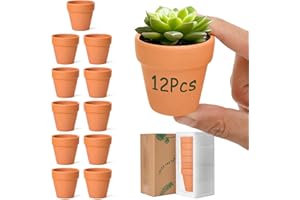 T4U 6.5CM Terracotta Plant Pots 12 Pcs, Mini Terracotta Pots with Drainage Holes, Small Clay Pots for Crafts, Small Plant Pots for Succulent Cactus Plants, DIY Mini Flower Pot, Gifts for Party Decor