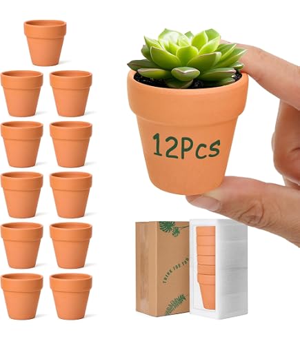 CULER 12 Pezzi Mini Vasetti In Terracotta 3x3cm - Perfetti Per Cactus, Piante Grasse E Progetti Creativi Fai-Da-Te - 4