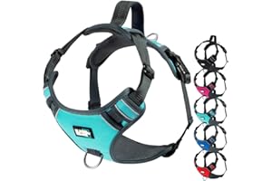 Black Rhino el Perro del arnés de Confort con Malla Acolchado Chaleco para pequeñas Razas Grandes | Ajustable | Reflectante | 2 adjuntos Correa en el Pecho (Medium, Aqua/gr), Julius k9 arnes
