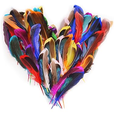 Lot De 500 Plumes, De 20 à 35 Cm