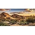 AWERT Terrarium Background 36x18 inches Reptile Habitat Background Blue Sky Oasis Cactus Sun and Desert Terrarium Background Polyester Terrarium Background