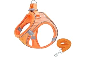 GIAPINST Arnés para Perros, Correas para Chalecos para Mascotas Ajustables, con Mallas Transpirables y Tiras Reflectante, para Perros y Gatos Pequeños y Medianos (L, Naranja)