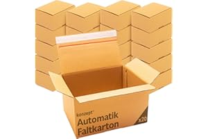 Konzept 11 - Versandkarton 20x15x10cm Set 10 Stk. Faltkartons mit Deckel Selbstklebend, Kleine Kartons zum Verschicken, Verpackung, Verschiedene Größe