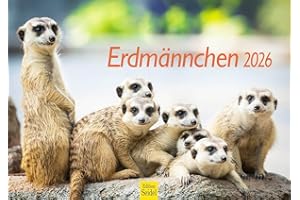 ‎EDITION SEIDEL Edition Seidel Premium Kalender Erdmännchen 2026 Format DIN A3 Wandkalender Tierkalender Afrika Zoo Natur Rudel Säugetier Wildtier Tier
