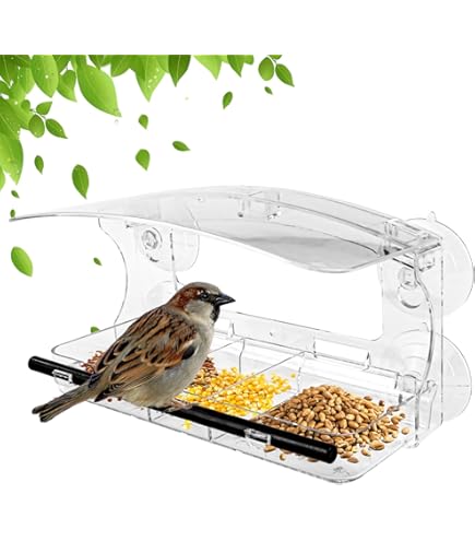 Bebedero Pajaros Exterior Comedero Para Pájaros Con Ventana, Plástico Transparente Comida Pajaros Exterior