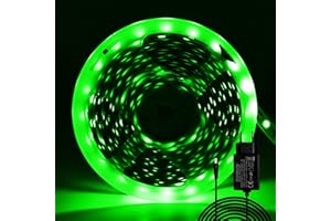 ShineBurky Striscia LED 5 Metri 12V Verde, Luci LED Striscia Luminoso 300LEDs SMD5050 Strisce LED Flessibili per Interno Esterno Cucina Hotel Natale Decorazione (con Alimentatore)