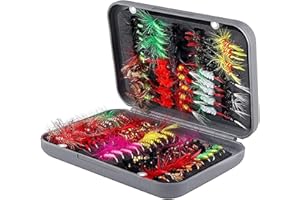 ANCLLO 100Pcs Fly Fishing Kit - Dry and Wet Flies Assortment With Waterproof Box for Trout Fishing