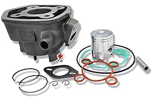 LG-MOTORS POWER ENGINEERING GRUPPO TERMICO 50cc CILINDRO Ø38 MOTORI MINARELLI ORIZZONTALE H2O