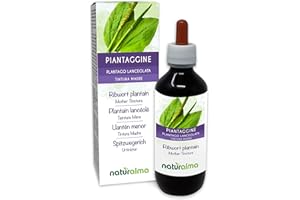 ‎NATURALMA Spitzwegerich oder Lungenblattl (Plantago lanceolata) Blätter Alkoholfreier Urtinktur Naturalma - Flüssig-Extrakt Tropfen 200 ml - Nahrungsergänzungsmittel - Veganer