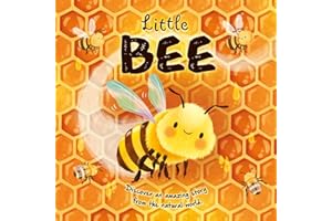 Little Bee (An illustrated story about the life-cycle of a bee)