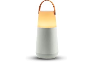 ION Audio Bright MAX - Altavoz Bluetooth portátil Impermeable, con iluminación, Sonidos atmosféricos a 360°, tecnología Multi-Sync y batería Recargable, Gray