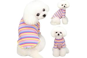 Yaopelky Ropa para Perros pequeños y medianos, Camisas para Perros a Rayas arcoíris, Camiseta elástica de Manga Larga para Gato, Trajes para Mascotas para Chihuahua, Yorkie Teddy (Borde Amarillo, XL)