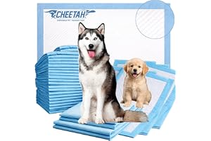 CHEETAH Puppy Training Pads, 6-Layer Leak Proof Dog Pee Pads, Ultra Absorbent, Odor Control, Quick Dry Pet Pads for Dogs & Cats, Blue Color, L Size (60x60cm) - 40Pcs