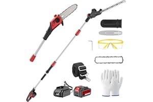 Keenstone Motosega Telescopica & Tagliasiepi ad Asta Elettrica Senza Fili, 2-in-1 Kit Motosega e Tagliasiepi con 4,0 Ah Batteria, Doppia Lama da 42 cm, Portata Massima Fino a 2,8m