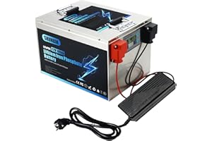 SHUNBIN Lifepo4 Akku 12V 100Ah 1280Wh mit BMS Lithium batterie Perfekter Ersatz für Blei-Säure, AGM, FLA, Gel Akku für Wohnmobil,Solaranlage, Boot, Haushalt, Solarpanel Kit,Camping